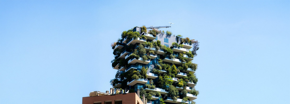 Desarrollos verticales.jpg