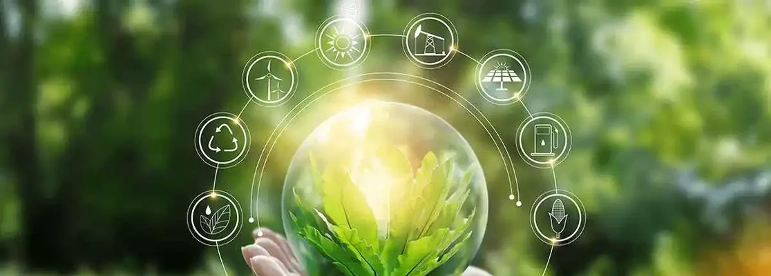 Vida sustentable.jpg