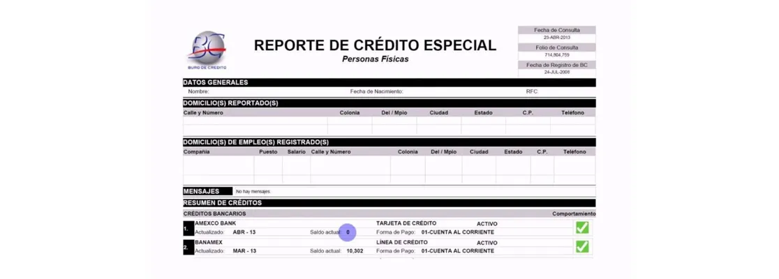 Reporte_de_credito_especial_5608f5e319_resultado.webp